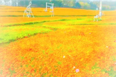 锦州世界园林博览园