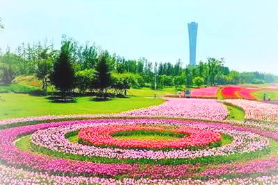 锦州世界园林博览园