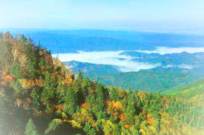 岗山国家森林公园