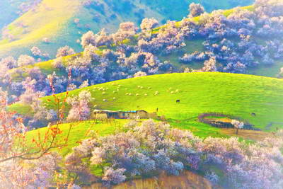 张家口万全杏花沟园区