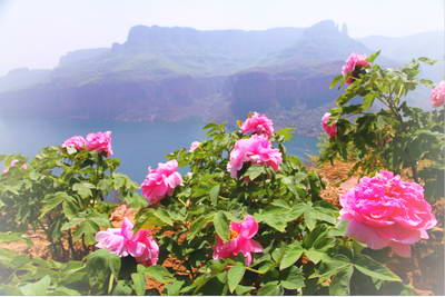 邢台沙河桃花源景区
