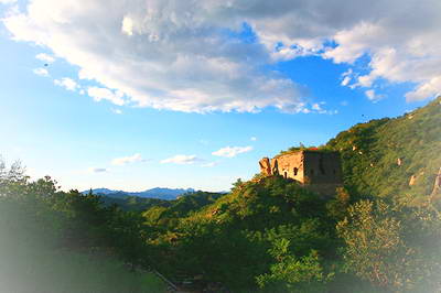 遵化禅林寺古银杏风景园