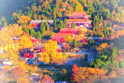 遵化禅林寺古银杏风景园