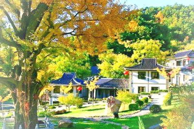遵化禅林寺古银杏风景园