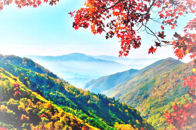 承德茅荆坝森林公园