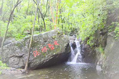 承德茅荆坝森林公园