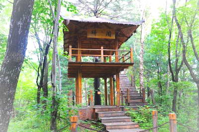 伊春兴安国家森林公园