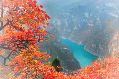 焦作云台山峰林峡