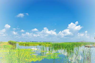呼兰河口湿地公园