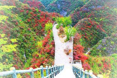商洛山阳天蓬山寨景区