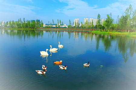 遂宁观音湖湿地公园