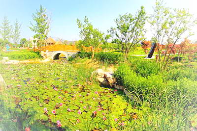 泰安花样年华景区