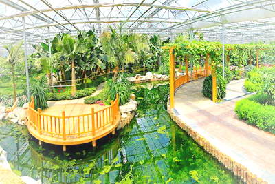 泰安花样年华景区