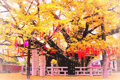 浮来山风景区