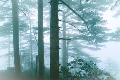 蒙阴蒙山国家森林公园