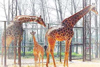 临沂市动植物园
