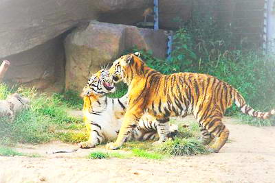临沂市动植物园