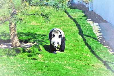 临沂市动植物园