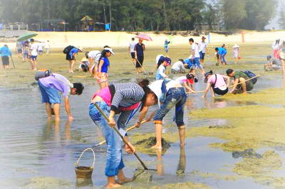 北海金海湾红树林生态旅游区