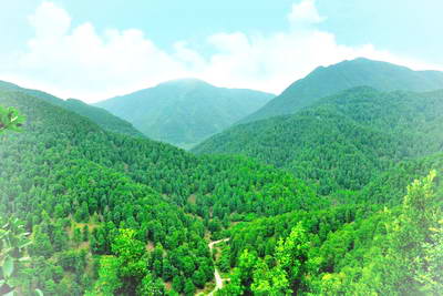 玉林六万山森林公园