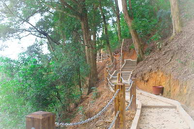 玉林六万山森林公园