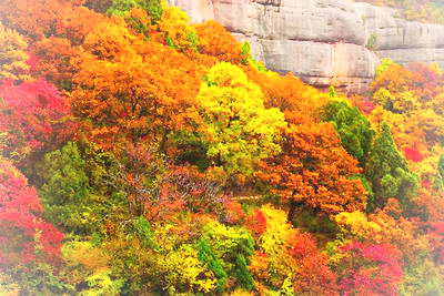 铜川照金香山
