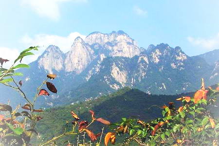 岳西妙道山风景区