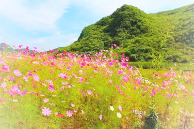 岫岩药山风景名胜区