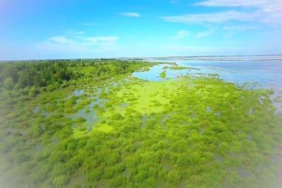 白城嫩江湾国家湿地公园