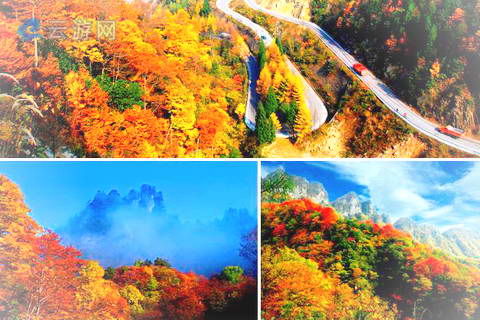 巴中光雾山景区