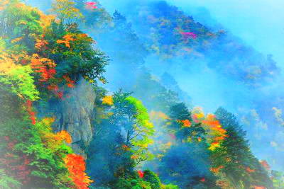雅安宝兴东拉山大峡谷景区