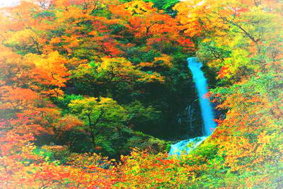 雅安宝兴东拉山大峡谷景区