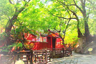 萧县皇藏峪森林公园