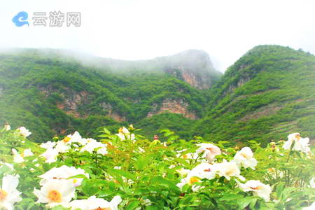芜湖丫山花海石林风景区