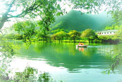 康县阳坝自然风景区