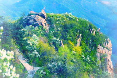 老乐山旅游景区