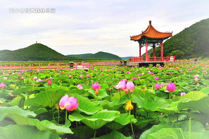 鸡西铁西森林公园