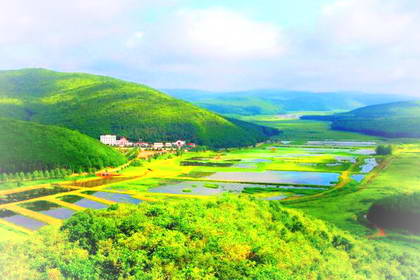 鸡西铁西森林公园