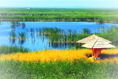 黑河大沾河景区