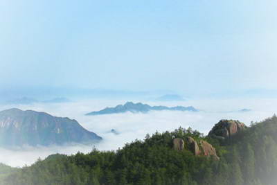 苍南玉苍山森林公园