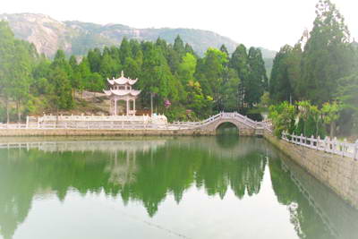 苍南玉苍山森林公园