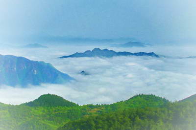 苍南玉苍山森林公园