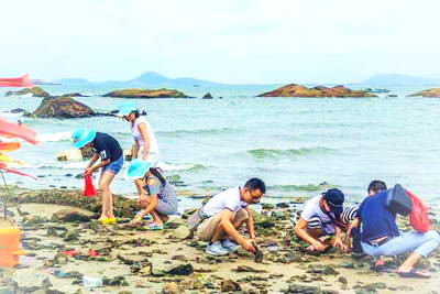 阳西沙扒湾