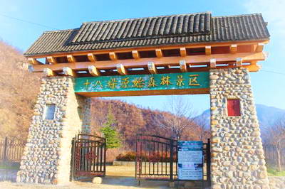鲁山十八垛原始森林景区