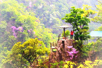 西峡寺山森林公园