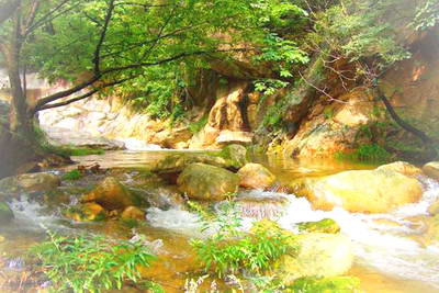 栾川养子沟景区