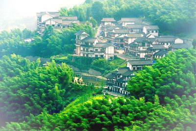重庆永川茶山竹海