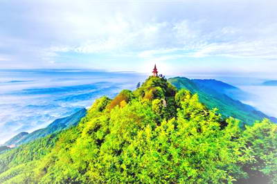 重庆永川茶山竹海