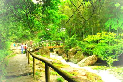 汝城九龙江森林公园