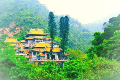 佛山南海湾森林生态园